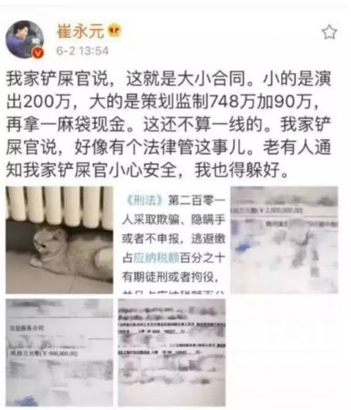 税务部门展开调查，刘晓庆涉嫌偷税漏税事件引发关注