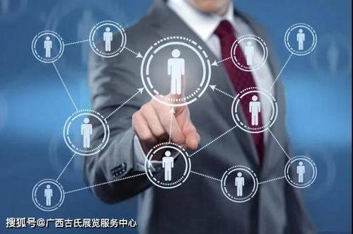 专业性电子商务咨询企业