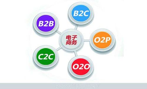 推广电子商务专业的启示