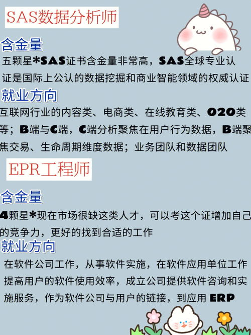 电子商务专业证有用吗