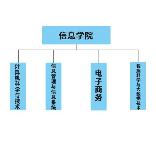 谈谈对电子商务专业的认识