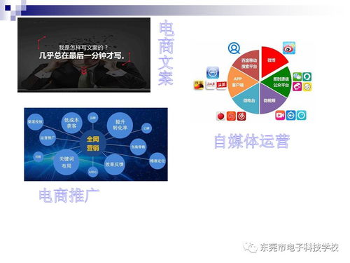 电子商务专业百科介绍