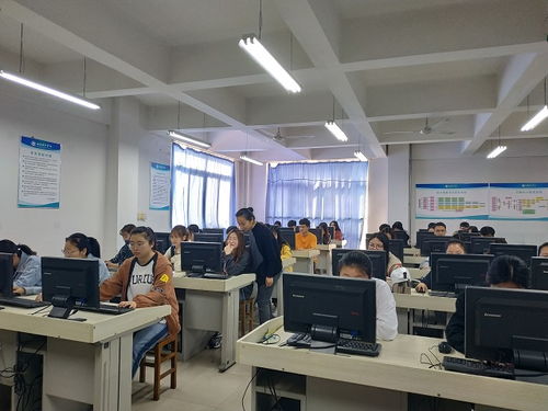 电子商务专业应届生简介